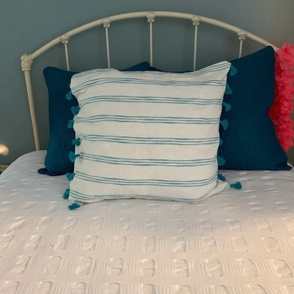 Anthropologie Blue Striped Pillow  Tassel Shams